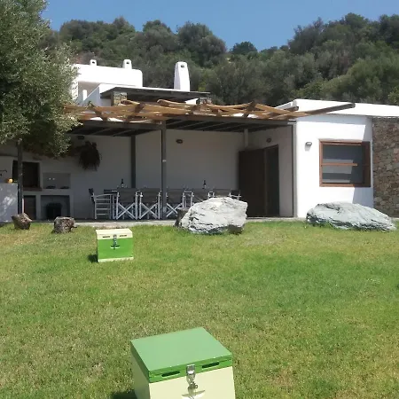 Skinammos Eco